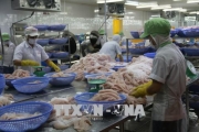 Phát tán thông tin sai lệch về cá tra Việt tại thị trường Romania Phát tán thông tin sai lệch về cá tra Việt tại thị trường Romania
